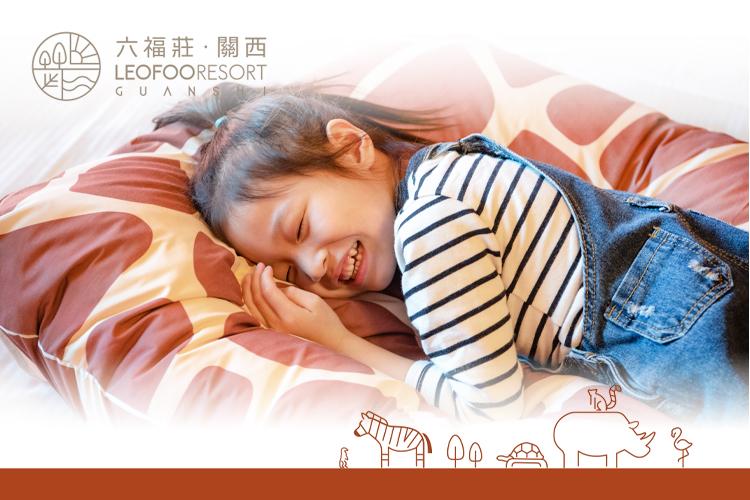 【六福莊】羽絨靠枕(110cm*85cm)｜此商品只能宅配寄送