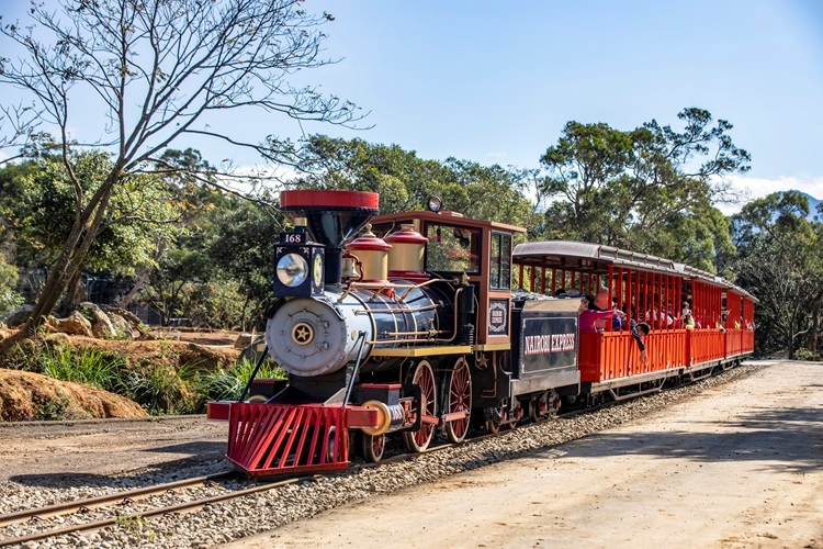 雙人動物髮箍套票