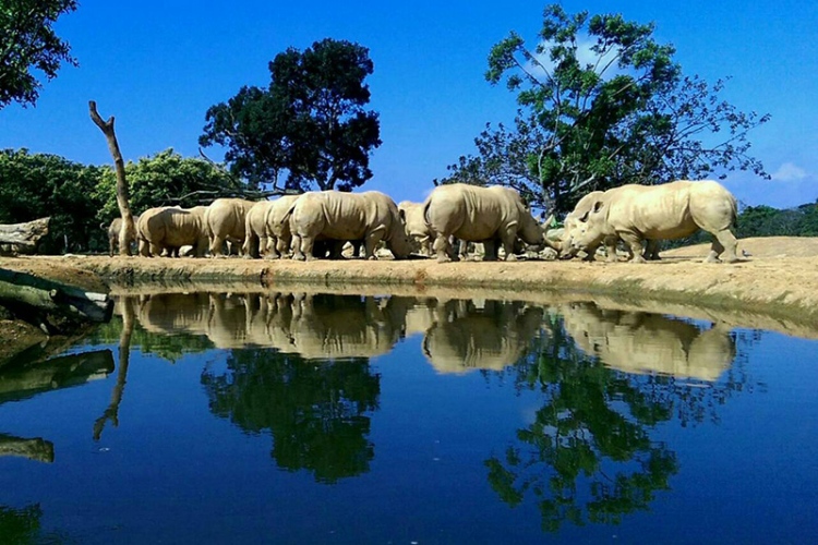 犀望巴士體驗套票$2,288