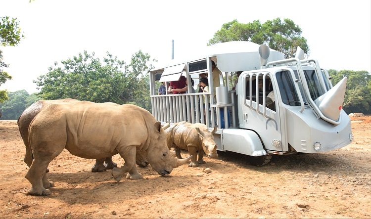 犀望巴士體驗套票$2,288