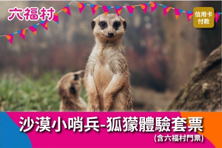 沙漠小哨兵-狐獴體驗套票$1,288