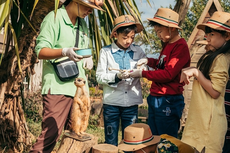 沙漠小哨兵-狐獴體驗套票$1,288