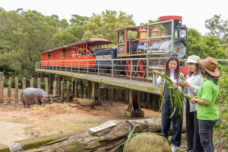 大嘴河馬體驗套票$1,288