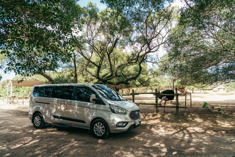 草原歷險體驗套票$1588