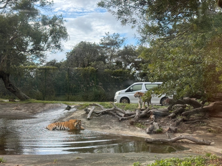 草原歷險體驗套票$1588