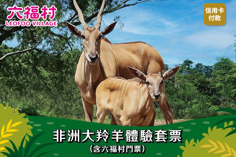 非洲大羚羊套票$1,288