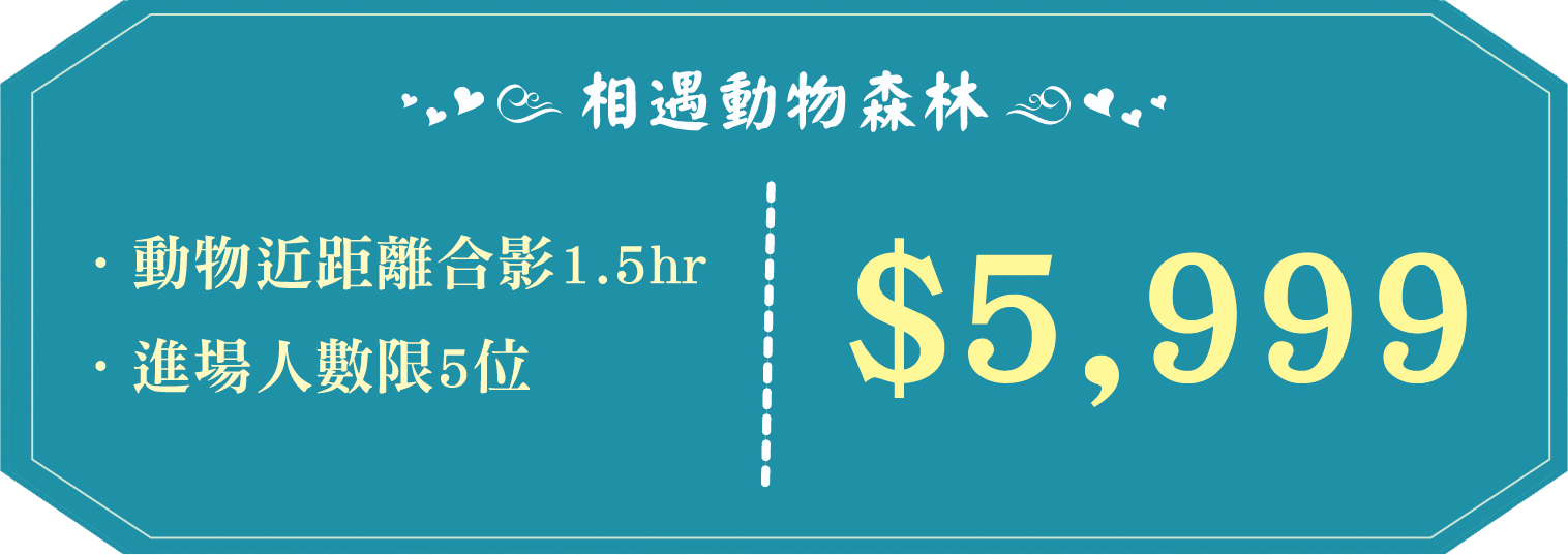 六福村婚紗拍攝~相遇動物森林